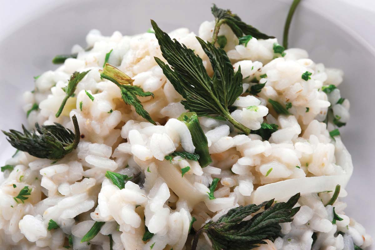 Risotto alle erbe aromatiche - Casa Rustichella